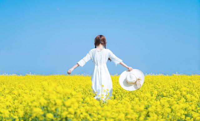 088eea6ca6d147f9a10c5167399628ae