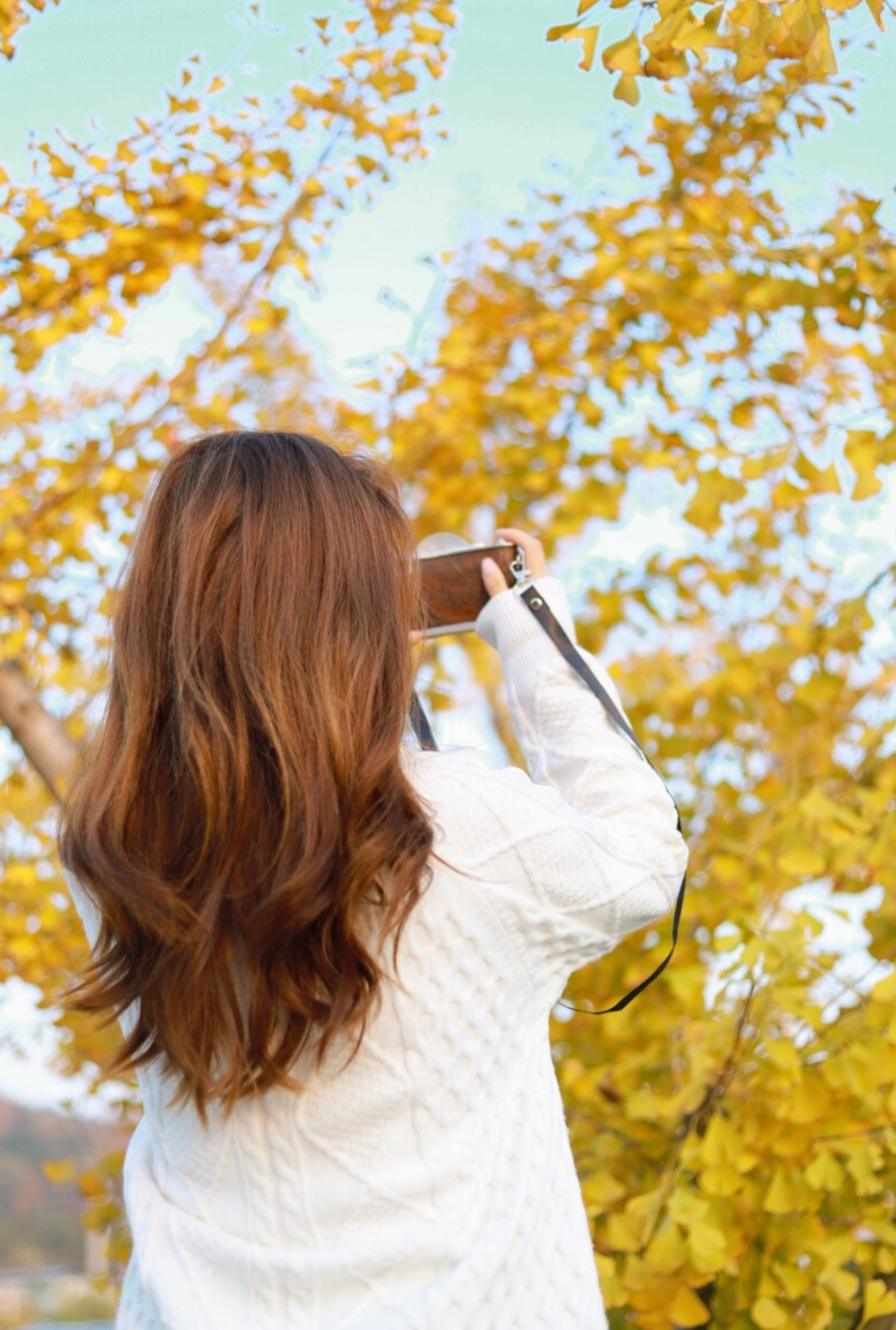 b24abfa436d646219657044d0cd45d16