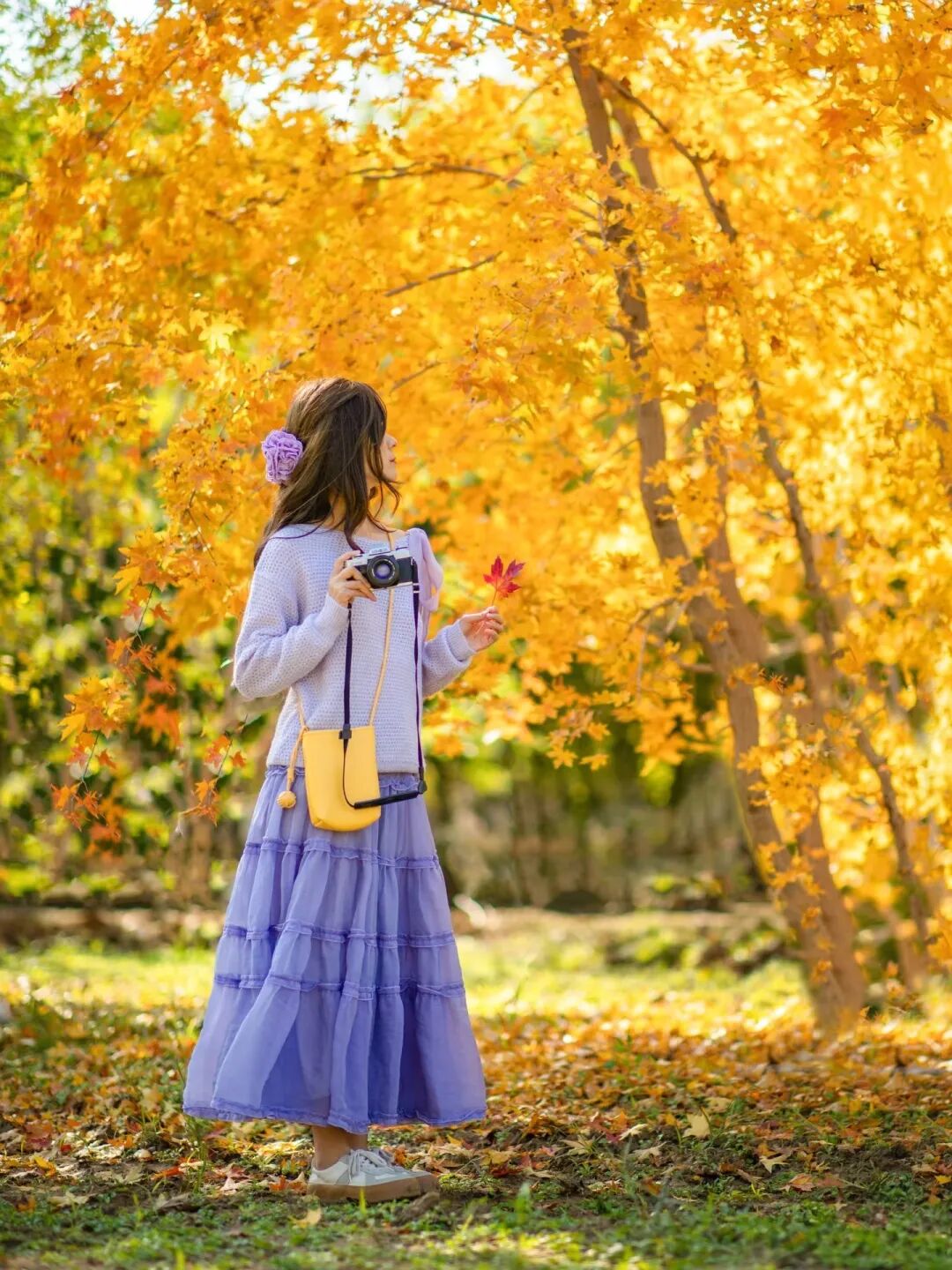 这样在金黄色的秋日树林里拍照，实在太美！灵动自然，唯美诗意-霞书
