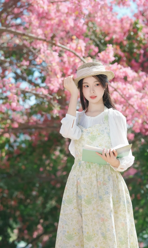 心守一抹暖阳 静待一树花开-霞书