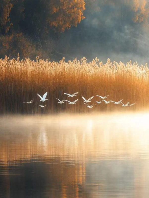 摄影作品欣赏：秋天的湖面，美的让人心醉！-霞书